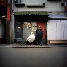 uno che non capiva un cazzo