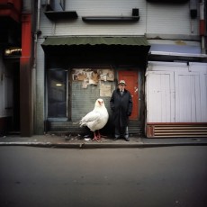 uno che non capiva un cazzo